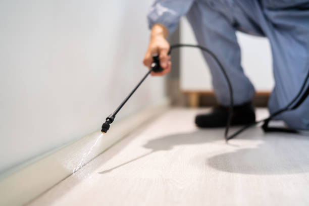 Licensed Termite Control service in Arkoma, OK - Nex Pest Control