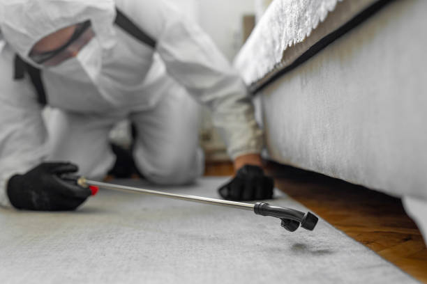 Professional Termite Control technician working in Arkoma, OK