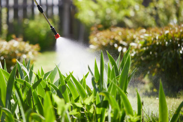 24/7 Emergency Termite Control experts in Arkoma, OK