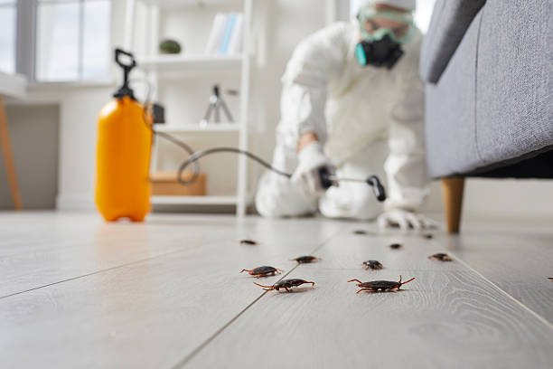 Trusted Cockroach Control service in Arkoma, OK - Nex Pest Control