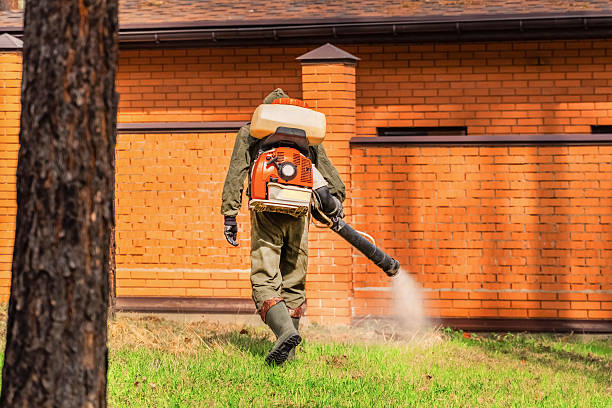 Trusted Termite Control service in Arkoma, OK - Nex Pest Control